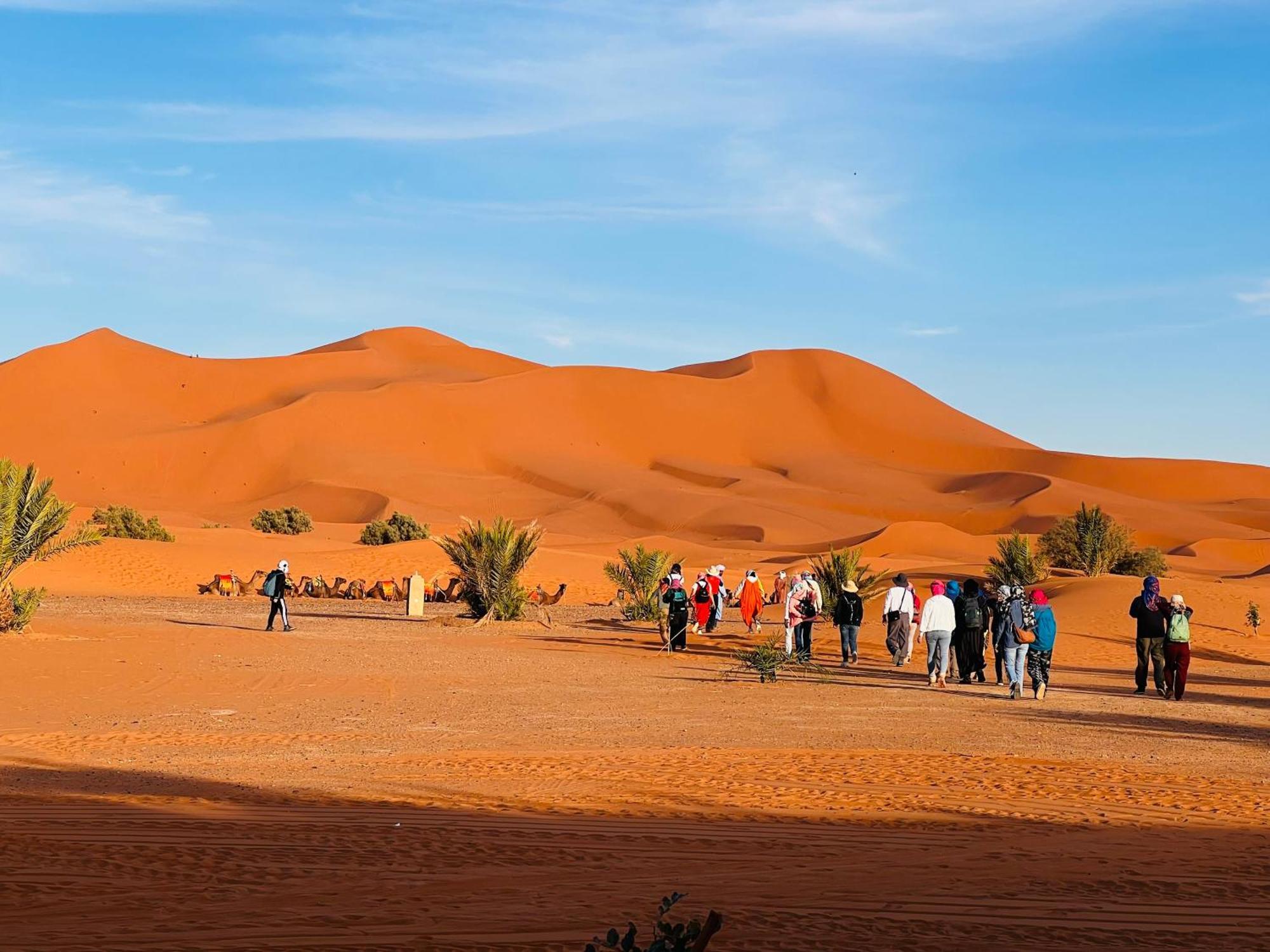 Hotel Camping Les Roses Des Dunes & Piscine Merzouga Eksteriør bilde