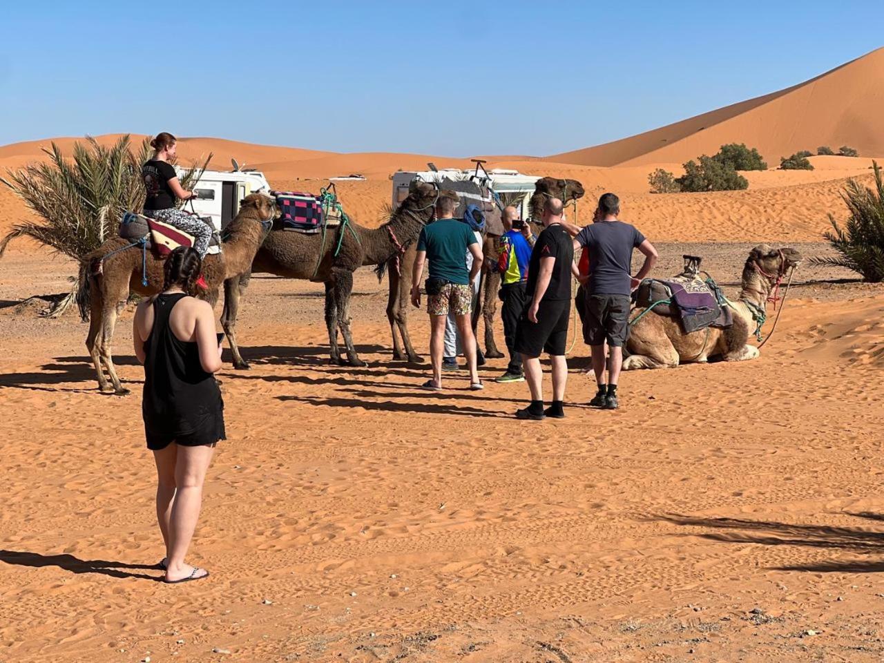 Hotel Camping Les Roses Des Dunes & Piscine Merzouga Eksteriør bilde